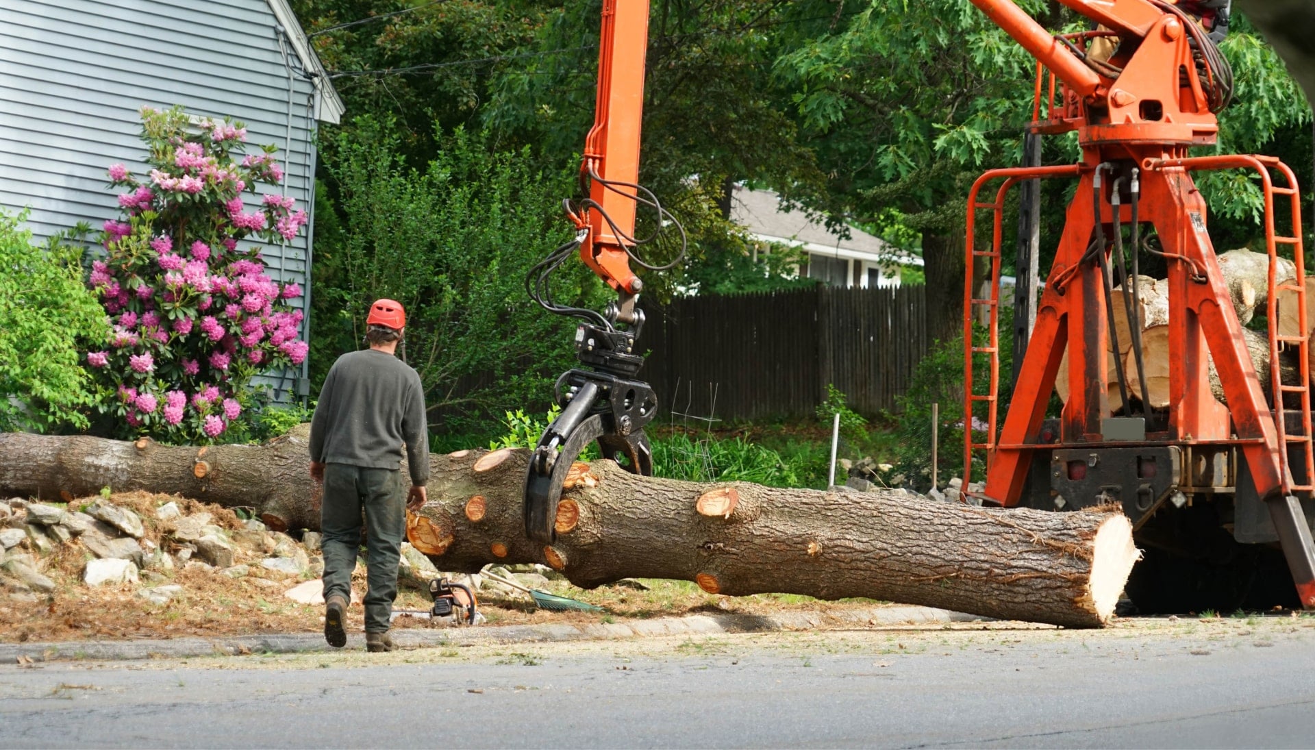 Heavy machinery is used to remove a tree after cutting in Bloomington, MN