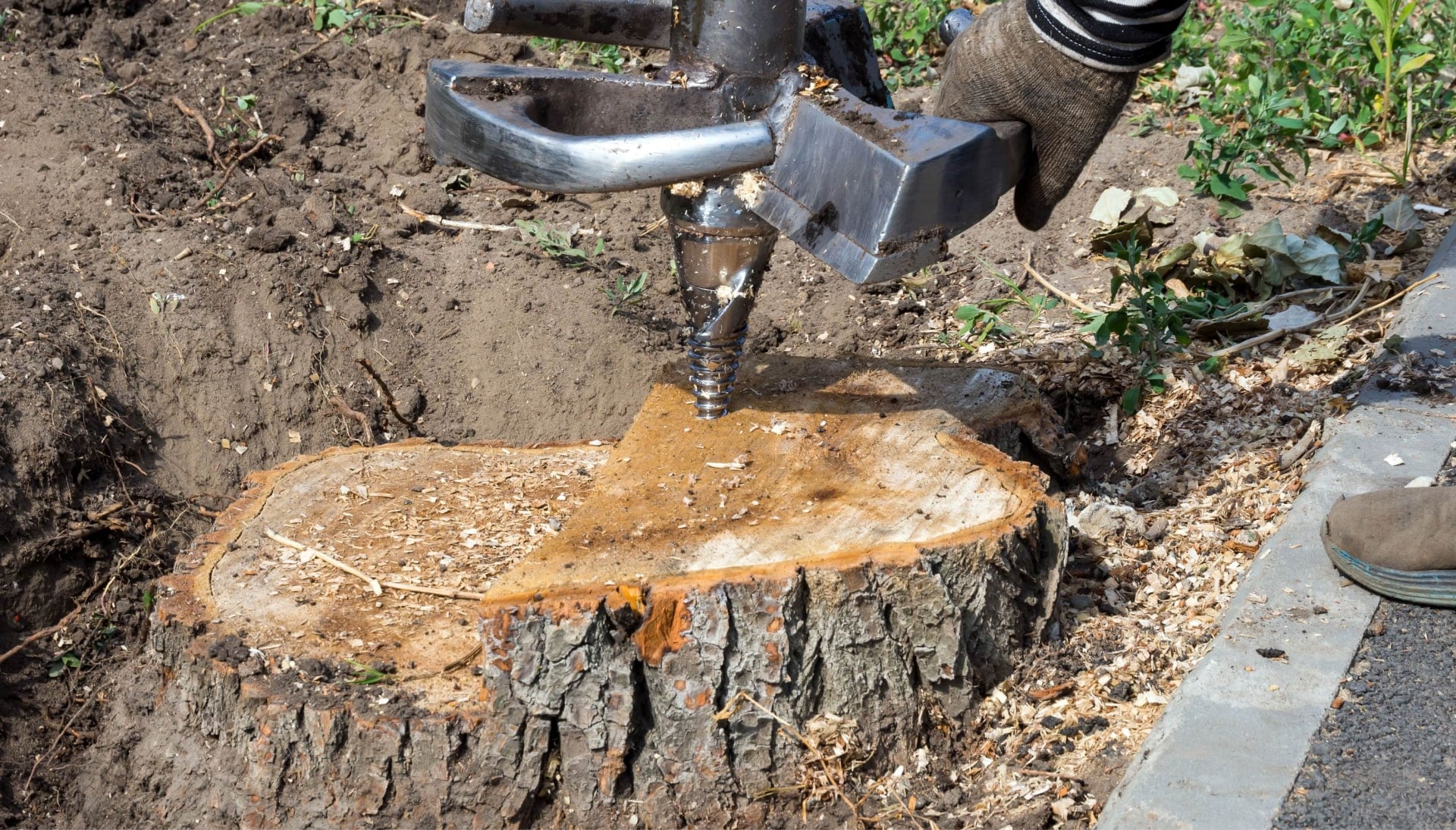 A stump grinding machines makes the job easier during tree removal services on a Bloomington, MN property.